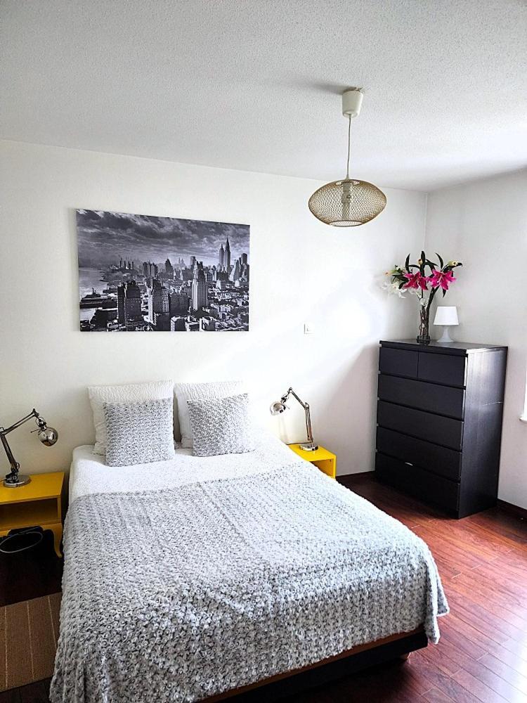 Appartement 3 Pieces, Krutenau, Parking Prive Strasbourg Luaran gambar