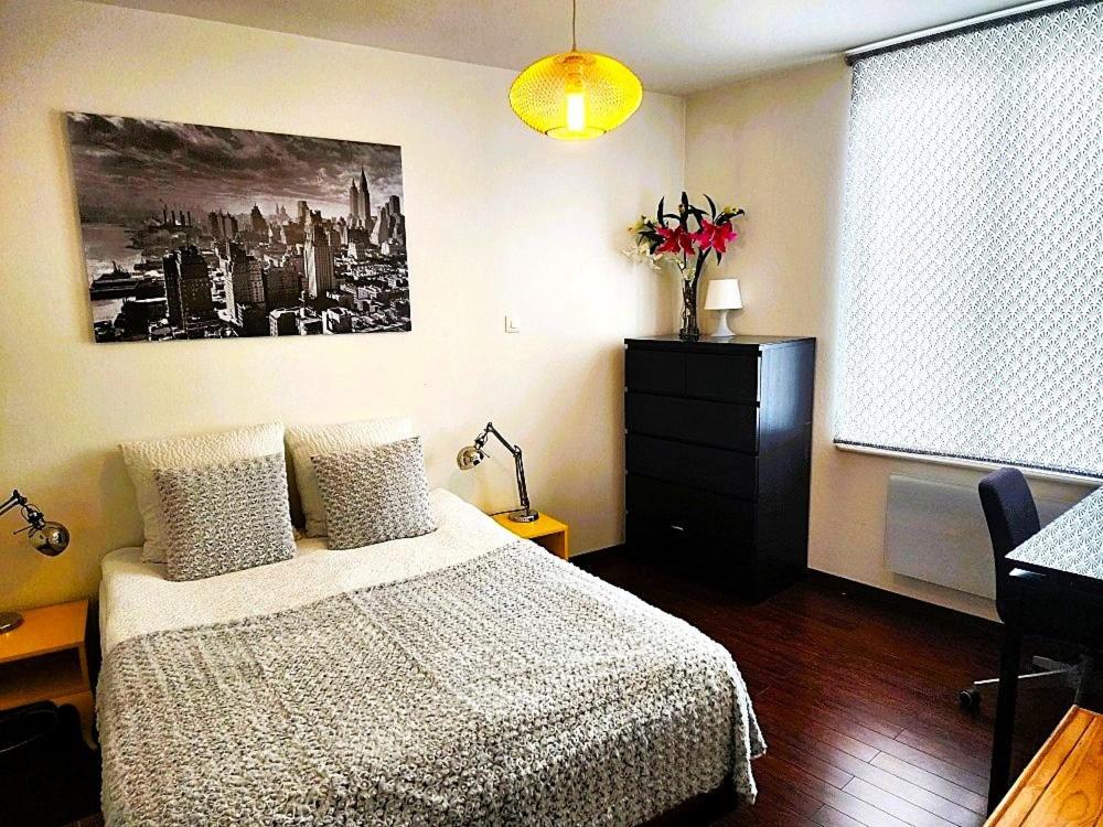 Appartement 3 Pieces, Krutenau, Parking Prive Strasbourg Luaran gambar