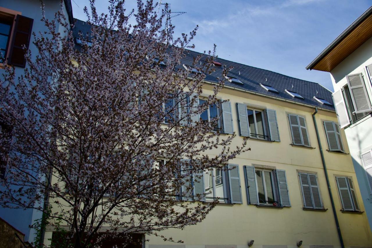 Appartement 3 Pieces, Krutenau, Parking Prive Strasbourg Luaran gambar